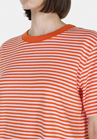 Regular Fit Yuvarlak Yaka Çizgili Kadın Kirmizi Kısa Kol Tişört