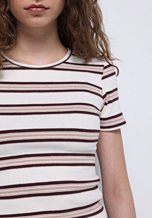 Slim Fit Yuvarlak Yaka Çizgili Kadın Ekru Kısa Kol Tişört