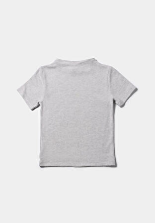 Slim Fit Dik Yaka Düz Kadın Gri Kısa Kol Tişört