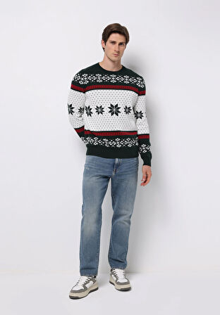 Regular Fit Yuvarlak Yaka Jakarlı Erkek Yeşil Kazak