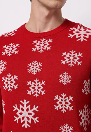 Regular Fit Yuvarlak Yaka Jakarlı Erkek Kirmizi Kazak