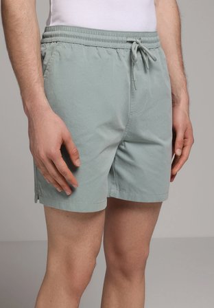 Slim Fit Düz Erkek Gri Deniz Şortu