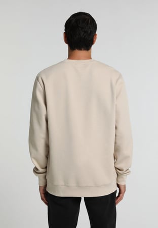 Regular Fit Yuvarlak Yaka Düz Erkek Taş Sweatshirt