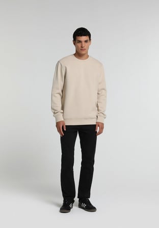 Regular Fit Yuvarlak Yaka Düz Erkek Taş Sweatshirt