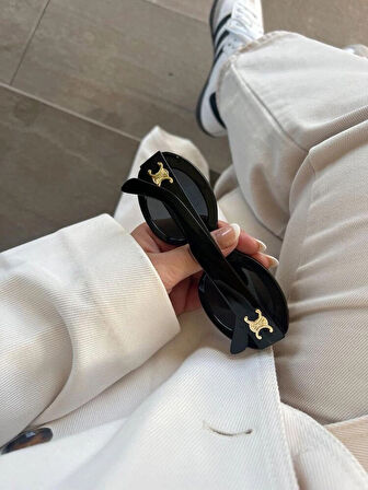 Celine Triomphe CL 40194 