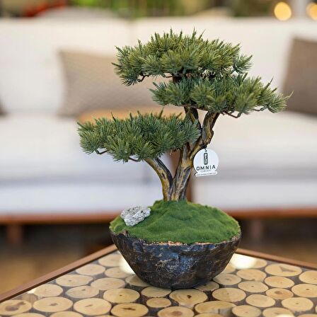 Calipso Bonsai-4 Masaüstü Kullanıma Uygun Doğal Ağaç Gövdeli Mini Yapay Bonsai Ağacı - 30x40 Cm