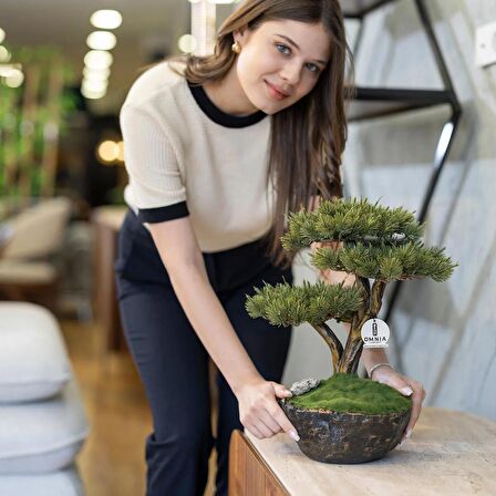 Calipso Bonsai-4 Masaüstü Kullanıma Uygun Doğal Ağaç Gövdeli Mini Yapay Bonsai Ağacı - 30x40 Cm