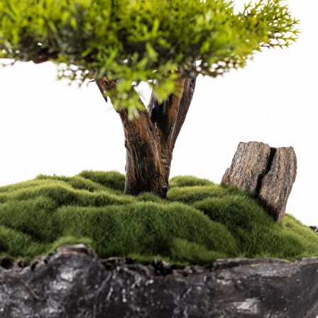 Calipso Bonsai-6 Masaüstü Kullanıma Uygun Doğal Ağaç Gövdeli Mini Yapay Bonsai Ağacı - 30x30 Cm