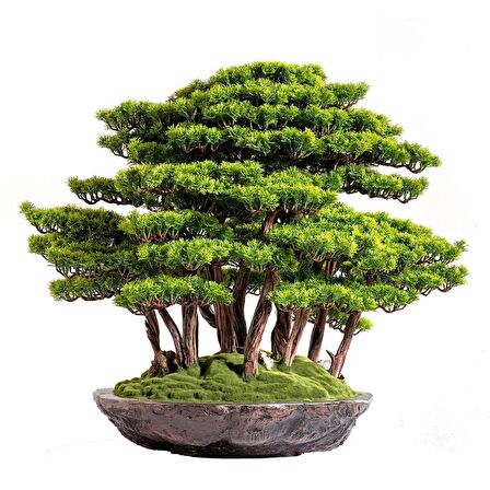 Callisto Bonsai Garden - Iç Ve Dış Mekan Kullanımına Uygun Premium Kalitede Yapay Ağaç 90x90 Cm