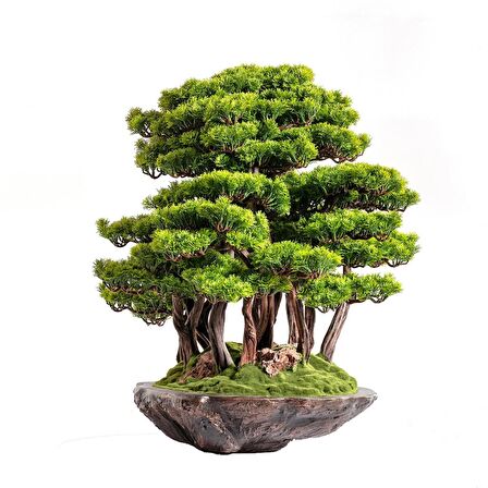 Callisto Bonsai Garden - Iç Ve Dış Mekan Kullanımına Uygun Premium Kalitede Yapay Ağaç 90x90 Cm