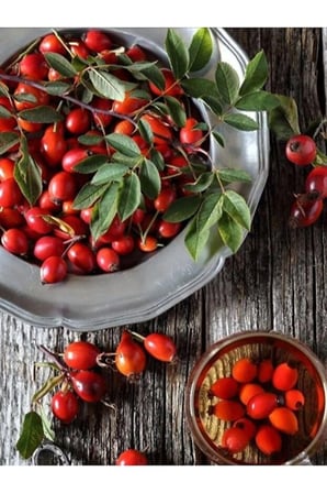 Okti̇R Soğuk Sıkım Kuşburnu Yağı 30 Ml Cilt Lekesi, Kırışıklık Çatlak İzleri Kolagen Gençleştirici
