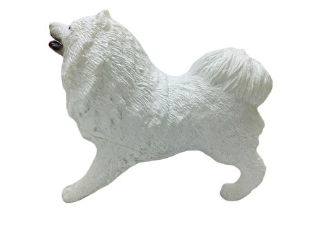 Köpekler - Samoyed Cinsi Köpek