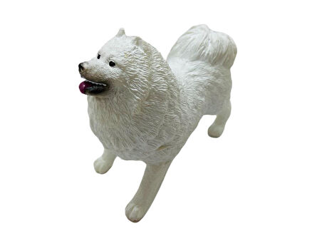 Köpekler - Samoyed Cinsi Köpek