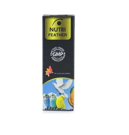 Güvercin B - Tüy Dökümü İçindir - Feather