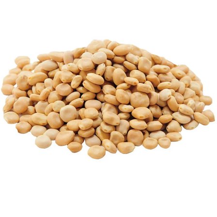 Acı Bakla U Yahudi Baklası Doğal 50 Gr Paket