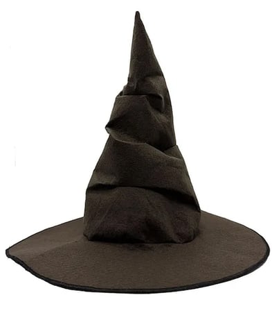 Harry Potter Seçmen Şapkası Çuk Boy