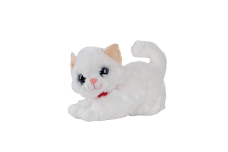 KZL-2309035 PELUŞ 30 CM JUMBO KEDİ MİYLAYAN 48
