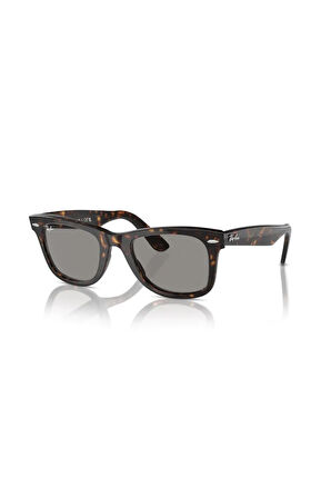 LUXOTTICA RAY-BAN Asetat Unisex GüneşGözlüğü 0RB2140-25