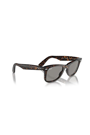 LUXOTTICA RAY-BAN Asetat Unisex GüneşGözlüğü 0RB2140-25