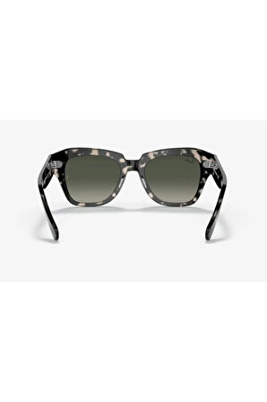 LUXOTTICA RAY-BAN Asetat Unisex Güneş Gözlüğü 0RB2186-25