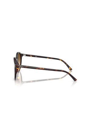 LUXOTTICA RAY-BAN Asetat Unısex Güneş 0RB2230-25