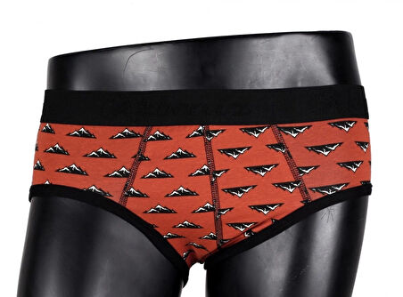 Giyim Erkek Likralı Slip Kiremit - Lacivert