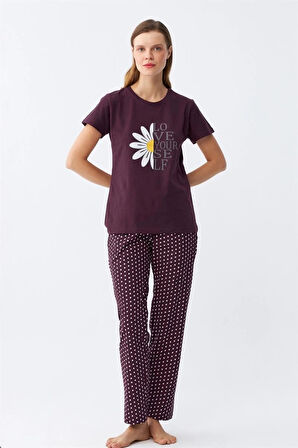 Giyim Kadın Mürdüm Papatya Baskılı Kısa Kollu Penye Pijama Takımı