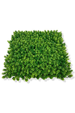 YAPAY ÇAMDALI BİTKİ DUVAR KAPLAMA 50X50 CM AÇIK YEŞİL