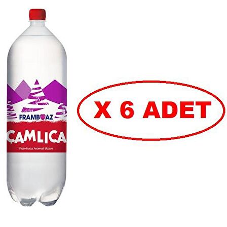 Çamlıca Frambuaz Aromalı Gazoz 2,5 Lt X 6 Adet