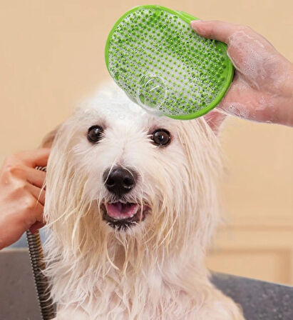 Hayvan Tüy Toplama Yıkama Ve Köşe Kaşınma Silikon Fırçası