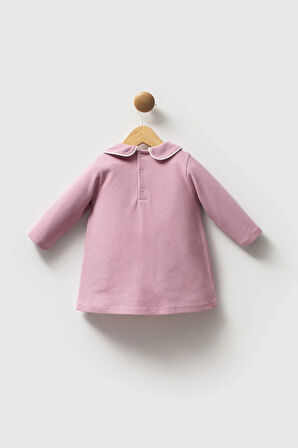 U.s. Polo Assn Elbise Usb2740 Gül Kurusu