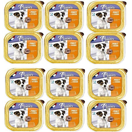 Plaisir Pate Ezme 12 Adet Tavuklu Yavru Köpek Konserve Maması 150 gr Puppy