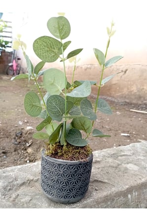 Bohem Stil Beton Saksıda Okaliptüs yapay çiçeği