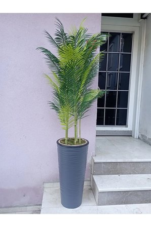 Areka ağacı 180 cm 5 bambu gövdeli 45 yapraklı dolgun yapay ağaç antrasit kumsal vazoda