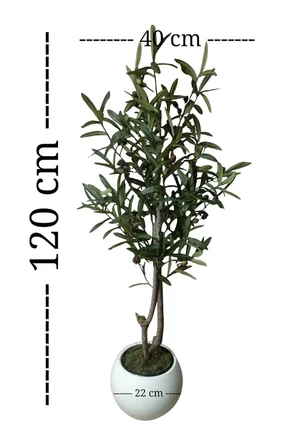 Premium Akdeniz Zeytin Ağacı 120 cm – Doğal Gövdeli, Meyveli, Beyaz Saksıda Dekoratif Yapay Ağaç