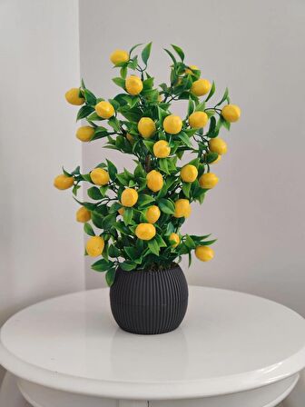 Limon Ağacı Mutfak Süsü 50 Cm Antrasit Saksıda