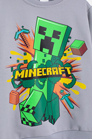 Gri Erkek Çocuk Karakter Baskılı Bisiklet Yaka Eşofman Takımı 23266