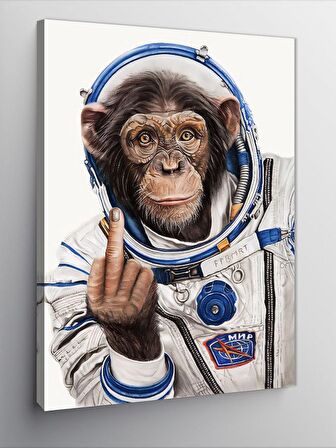 Kanvas Tablo Astranot Maymun