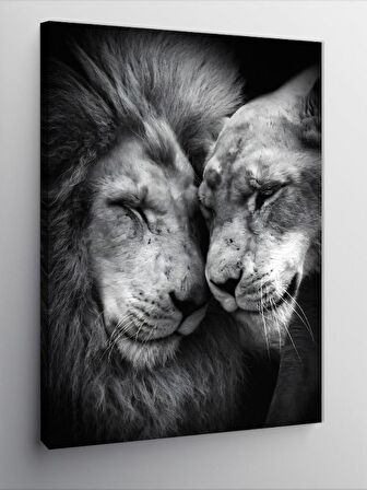 Kanvas Tablo Erkek Ve Dişi Aslan