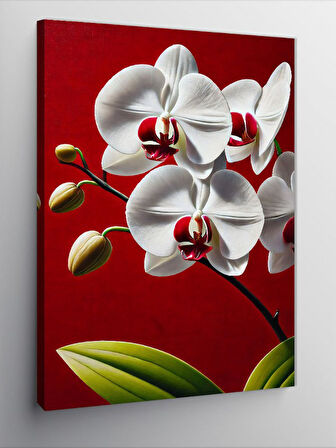 Kanvas Tablo Beyaz Orkide Çiçeği
