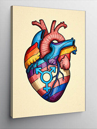 Kanvas Tablo Renkli Anatomik Kalp