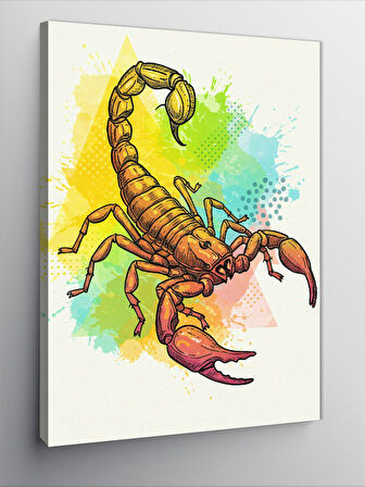 Kanvas Tablo Soyut Akrep ve Renk Patlaması