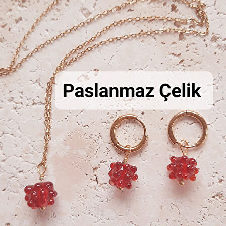 Paslanmaz Çelik Murano Ahududu Küpe Kolye Seti