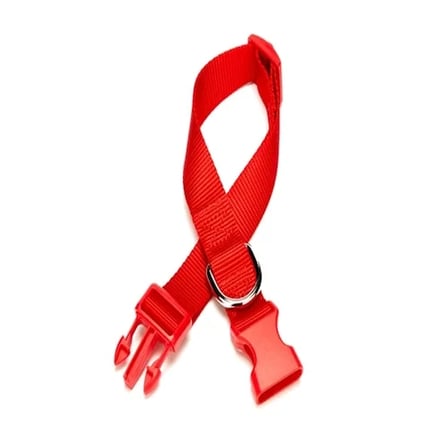 Dokuma Köpek Boyun Tasması 2 Cm X 30-45 Cm Kırmızı 25 Kg