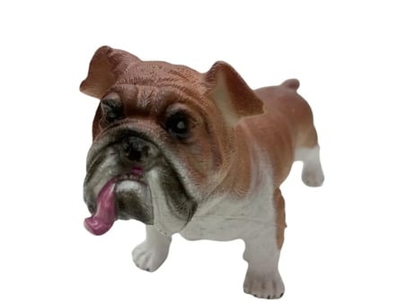 Köpekler - Amerikan Bulldog Cinsi Köpek - 1 Adet