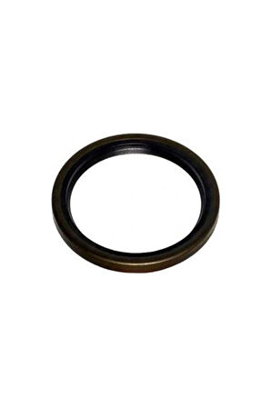 12012069B Krank Keçesi Arka Tmpr-Palıo-Sıena