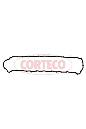 026698P Üst Kapak Conta Clıo-Kng-Mgn Iı-Fluence 1.5 D K9K