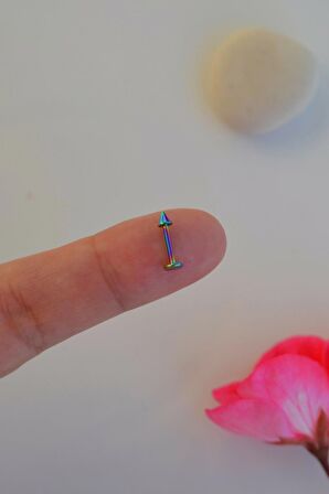 Hologram Renk Arkası Düz 316 L Çelik Piercing Tragus Helix Kıkırdak Lob Dudak 8 mm