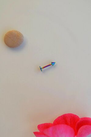 Hologram Renk Arkası Düz 316 L Çelik Piercing Tragus Helix Kıkırdak Lob Dudak 8 mm