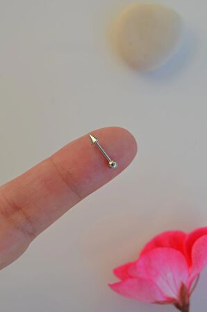 Gümüş Renk 316 L Çelik Piercing Helix Kıkırdak Lob, Conch, Dudak 8 mm